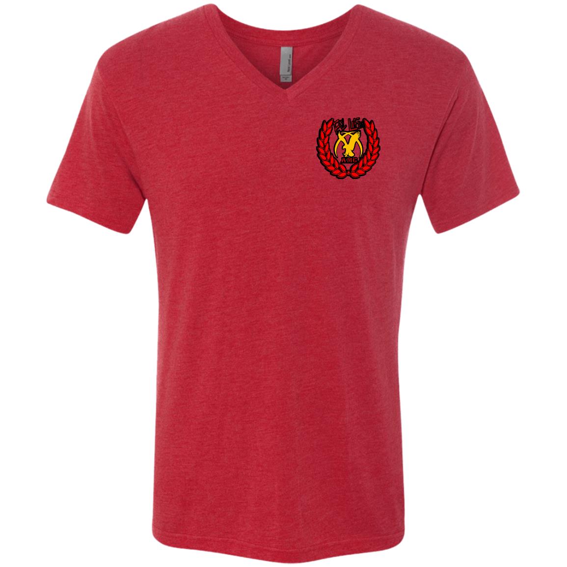 AMG FLY LIFE Men's Triblend V-Neck T-Shirt